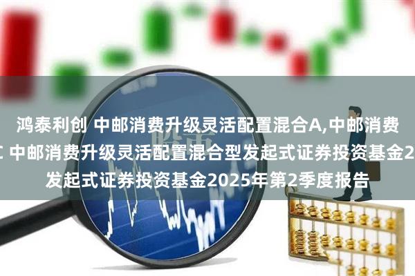 鸿泰利创 中邮消费升级灵活配置混合A,中邮消费升级灵活配置混合C 中邮消费升级灵活配置混合型发起式证券投资基金2025年第2季度报告